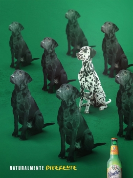 不同的自然-Sagres Radler啤酒