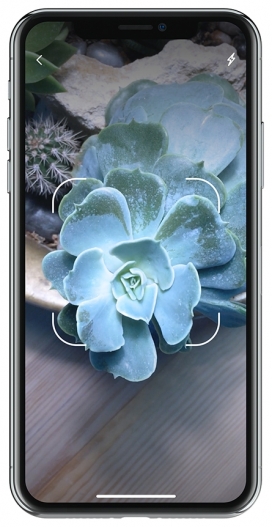 Watering Tracker追踪器移动UI设计