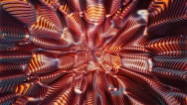 高清晰扭曲的虫洞壁纸