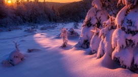 高清晰雪地壁纸