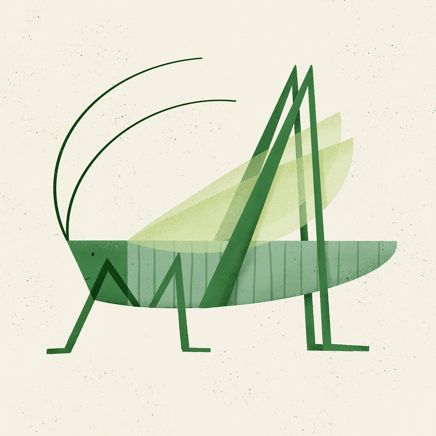 Bugs-昆虫几何插画---酷图编号3