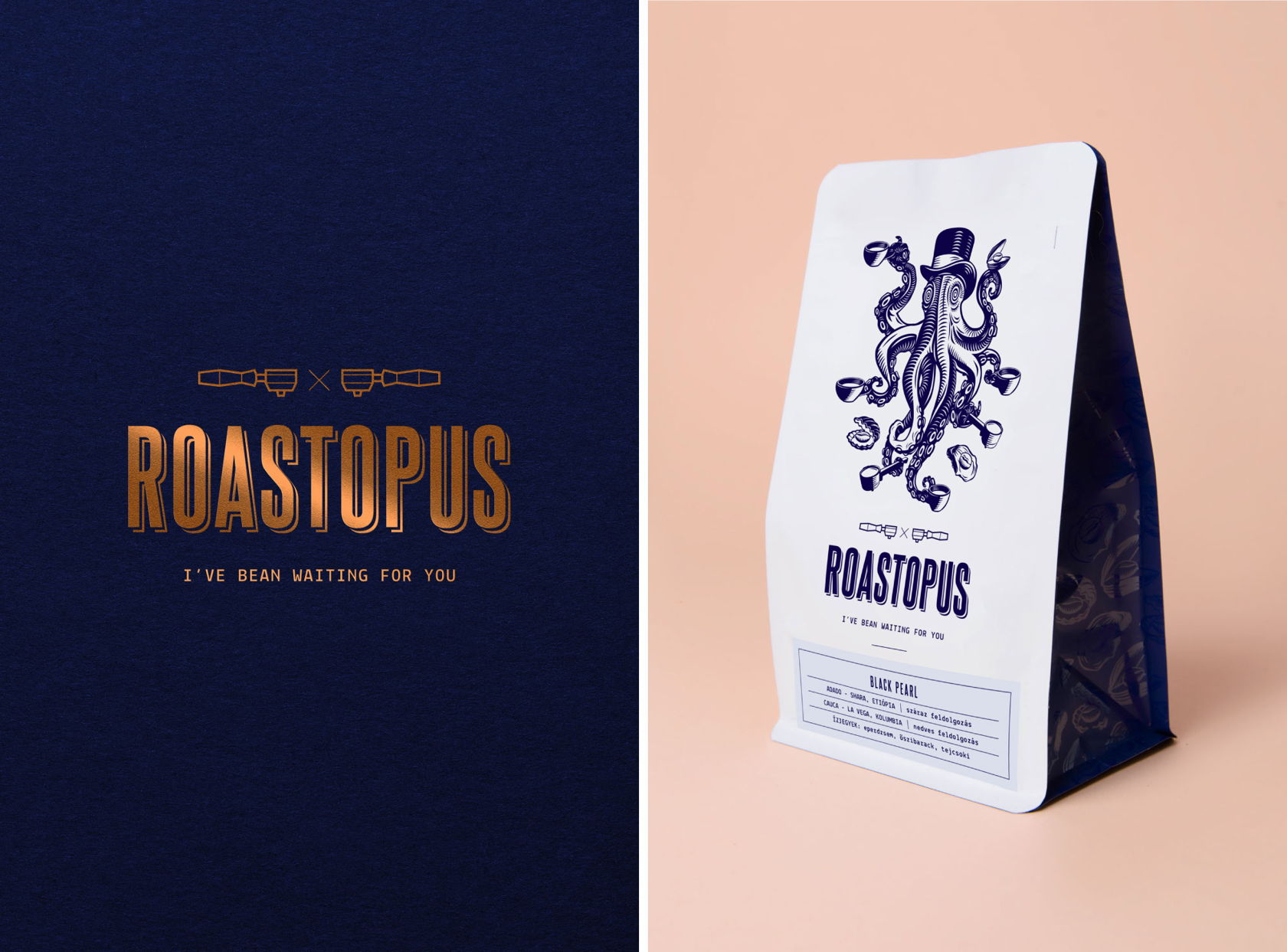 匈牙利新咖啡烘焙机Roastopus饮料---酷图编号4