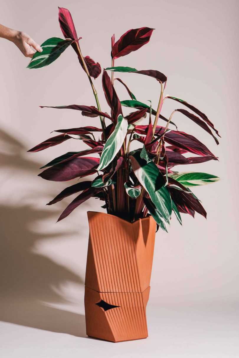 Carmen花盆设计-有带Watair灌溉系统,可使植物与水持续接触,并使根部永久充氧---酷图编号1251083