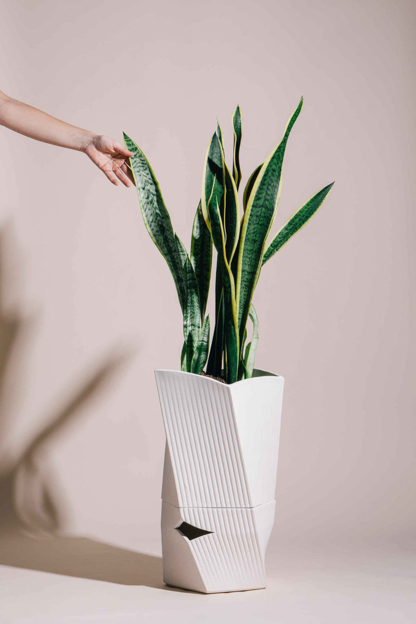 Carmen花盆设计-有带Watair灌溉系统,可使植物与水持续接触,并使根部永久充氧---酷图编号1251084