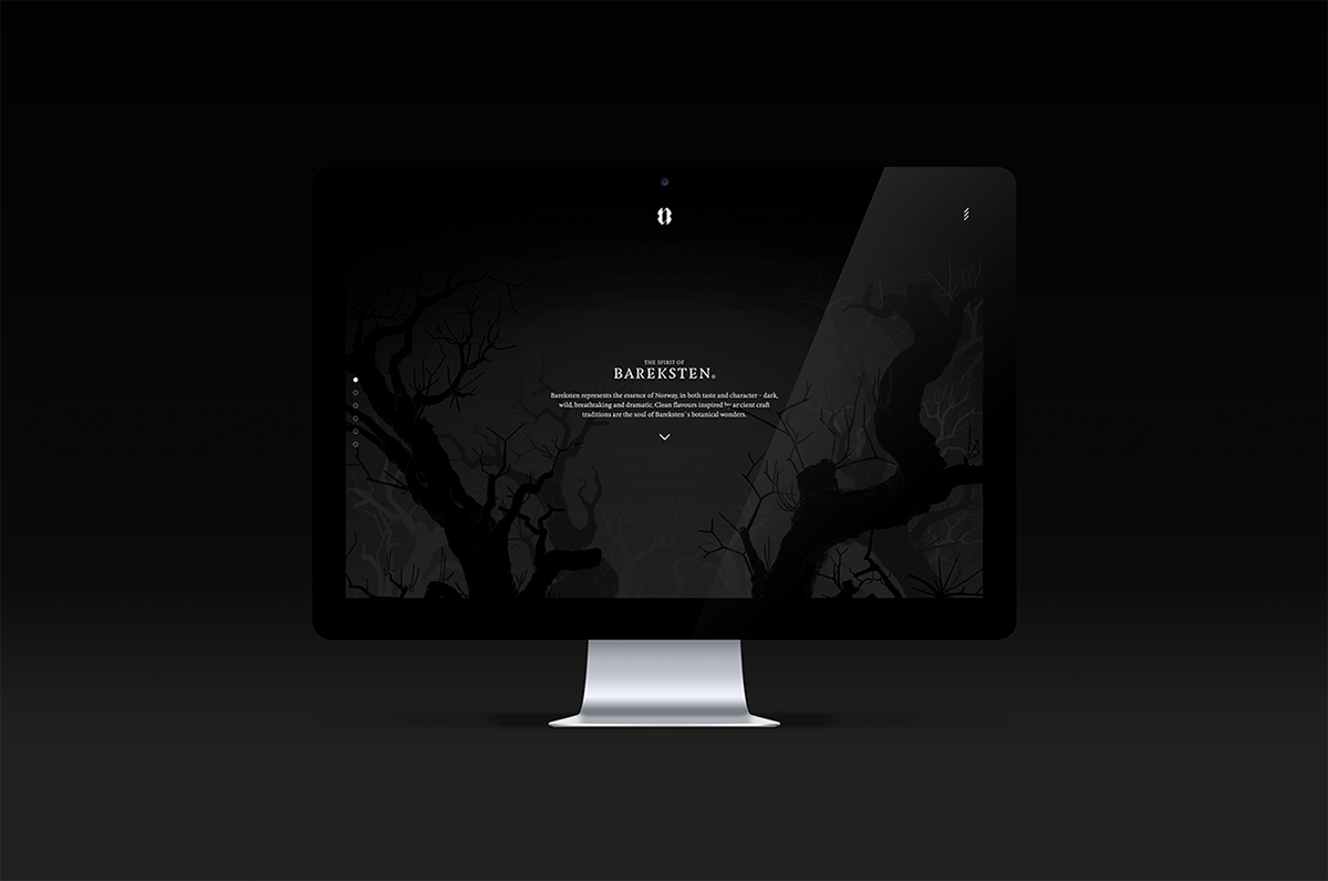 Bareksten Spirits-世界上最好的杜松子酒---酷图编号24