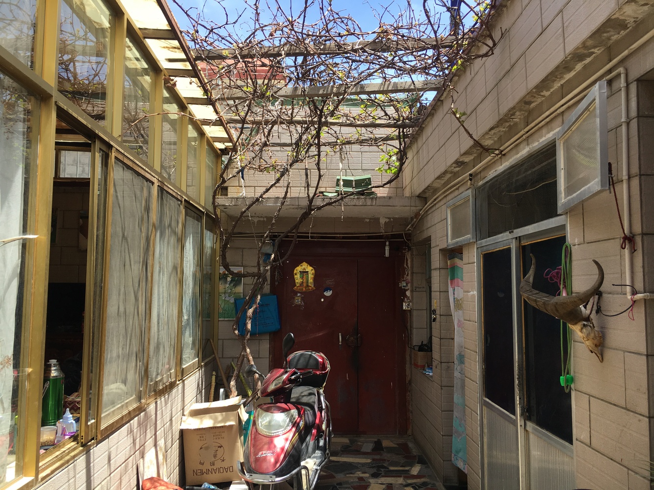 高海拔拉萨藏式民居家改造---酷图编号1252350