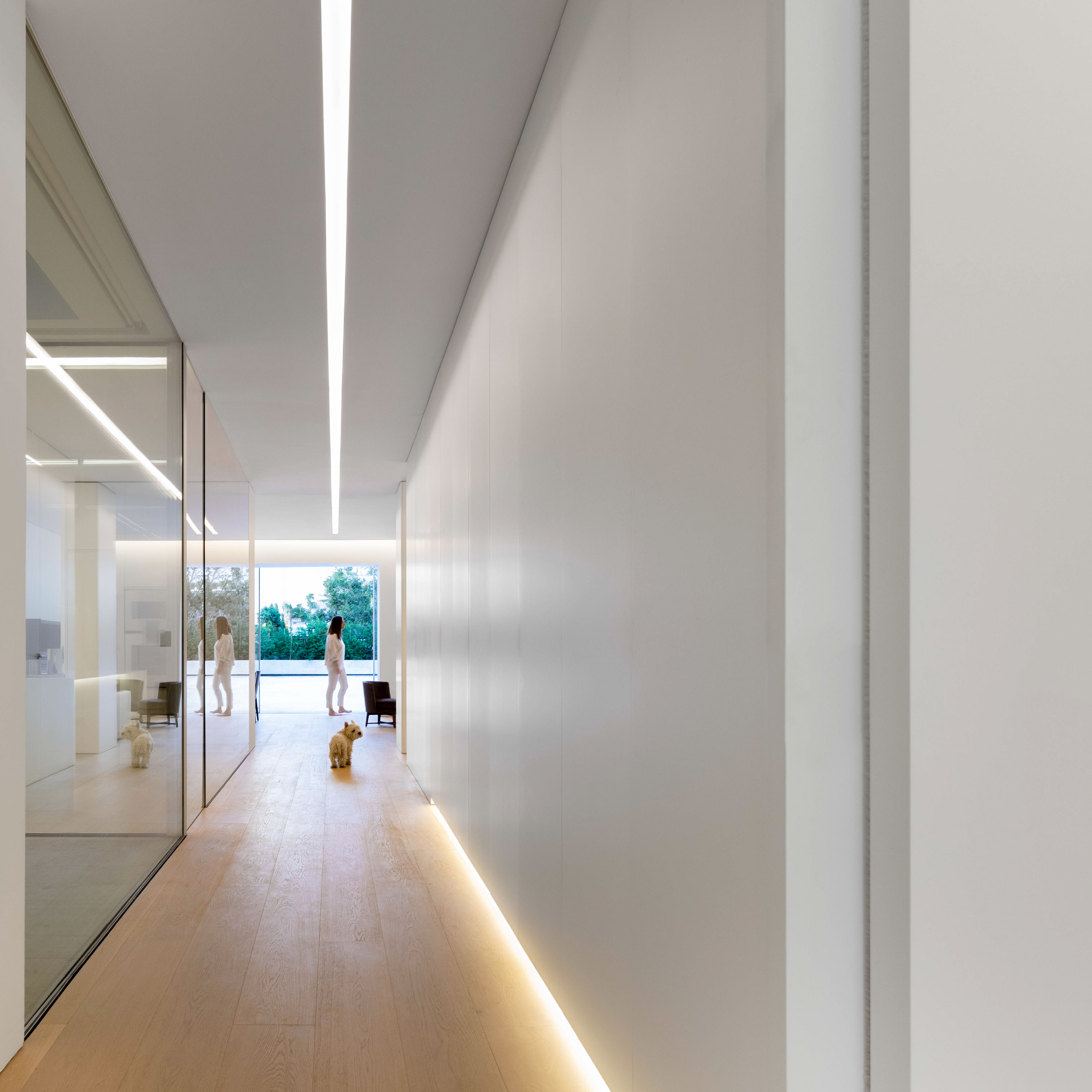 The blue garden-蓝色的花园---酷图编号1255182