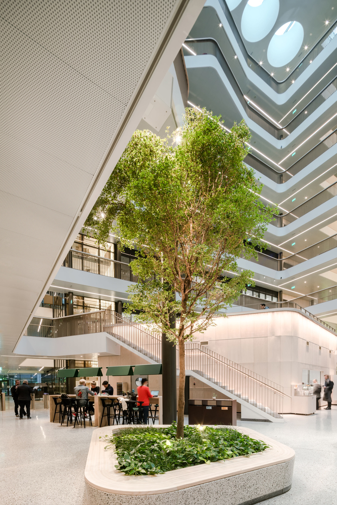 新建筑不仅会成为校园内的一个建筑,还将在建筑内容纳公园。通过玻璃覆盖的绿色中庭,室外校园区域通过建筑延续,从而加强绿色校园的社区品质,有利于知识共享和跨学科