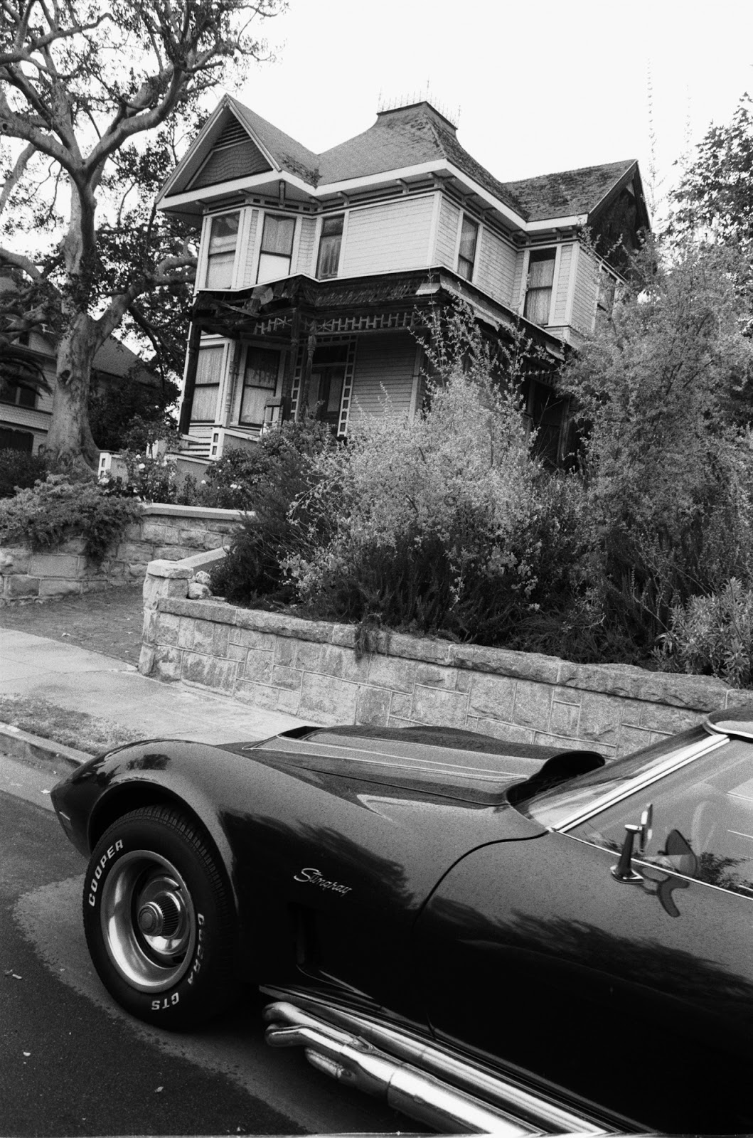 亚斯明维吉纳德-美国梦-Numero杂志---酷图编号3