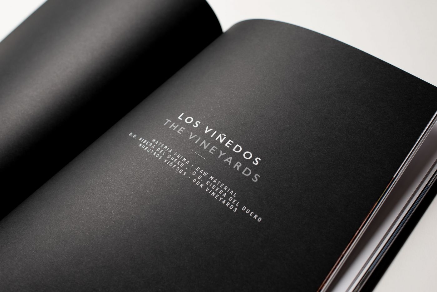 Aalto Winery editorial-阿尔托酒庄封面大图