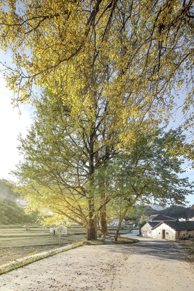 安徽245平米的奇峰村史馆---酷图编号32