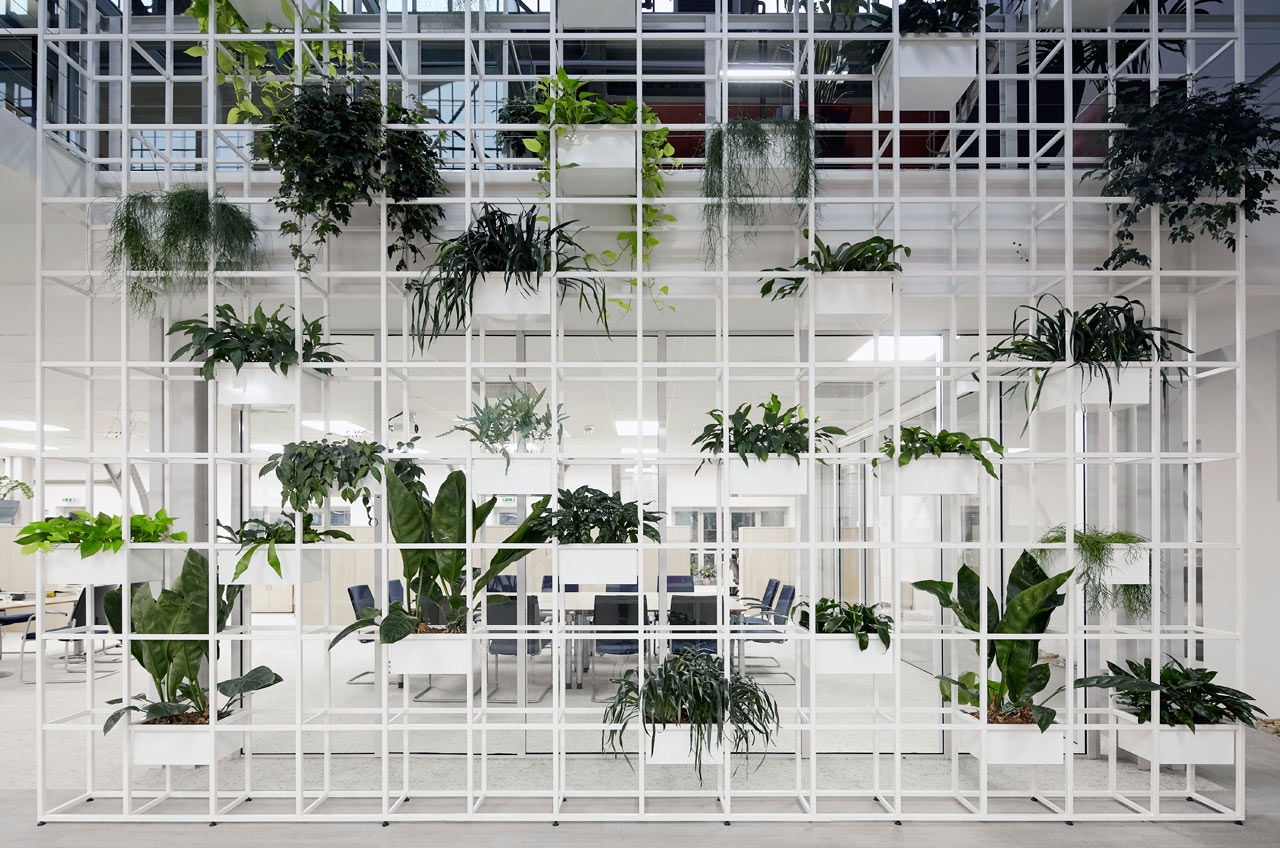 将旧牛肉市场改造为房地产办公室的建筑图片