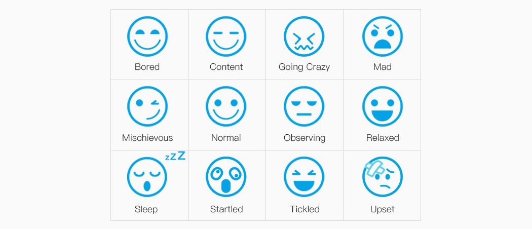 Wickedbone-一个智能互动的电子骨头玩具---酷图编号12