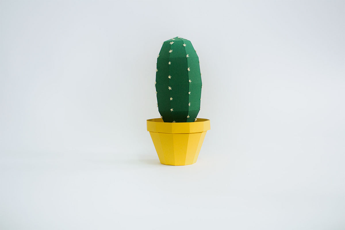 Galeiras手工纸仙人掌---酷图编号7