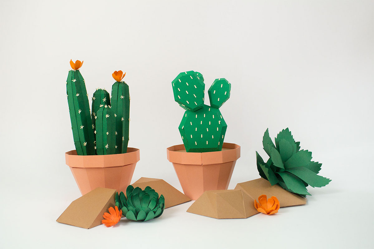 Galeiras手工纸仙人掌---酷图编号5