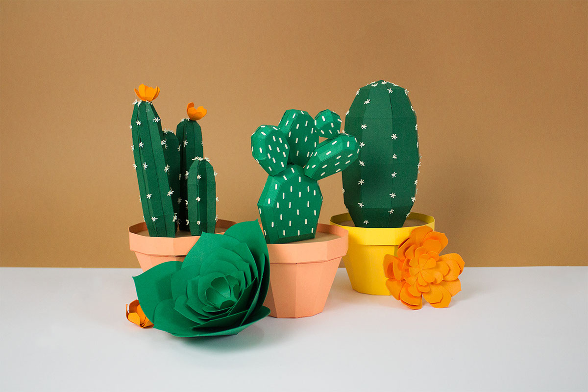 Galeiras手工纸仙人掌---酷图编号1