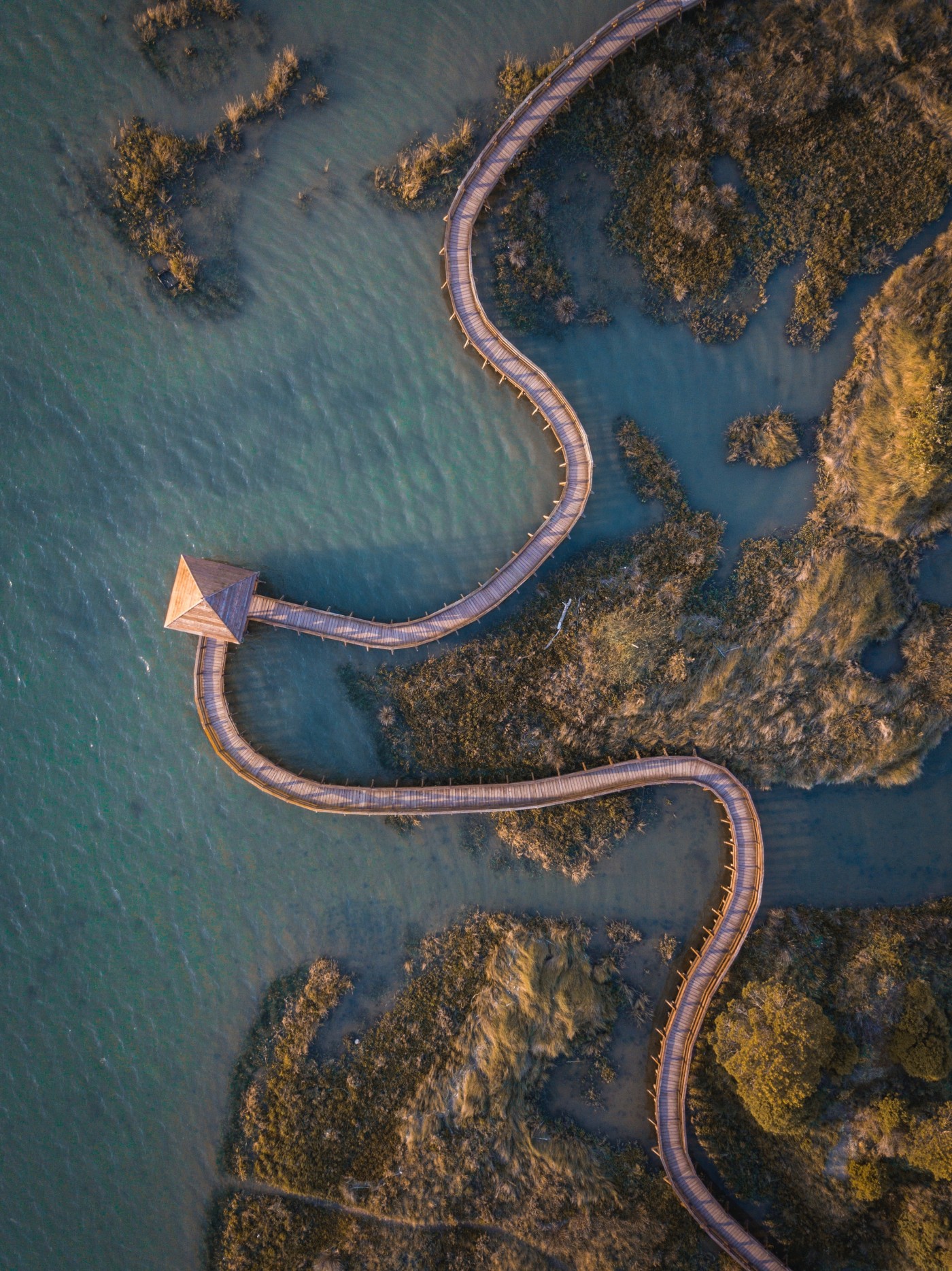 蜿蜒的海岸亭子路封面大图