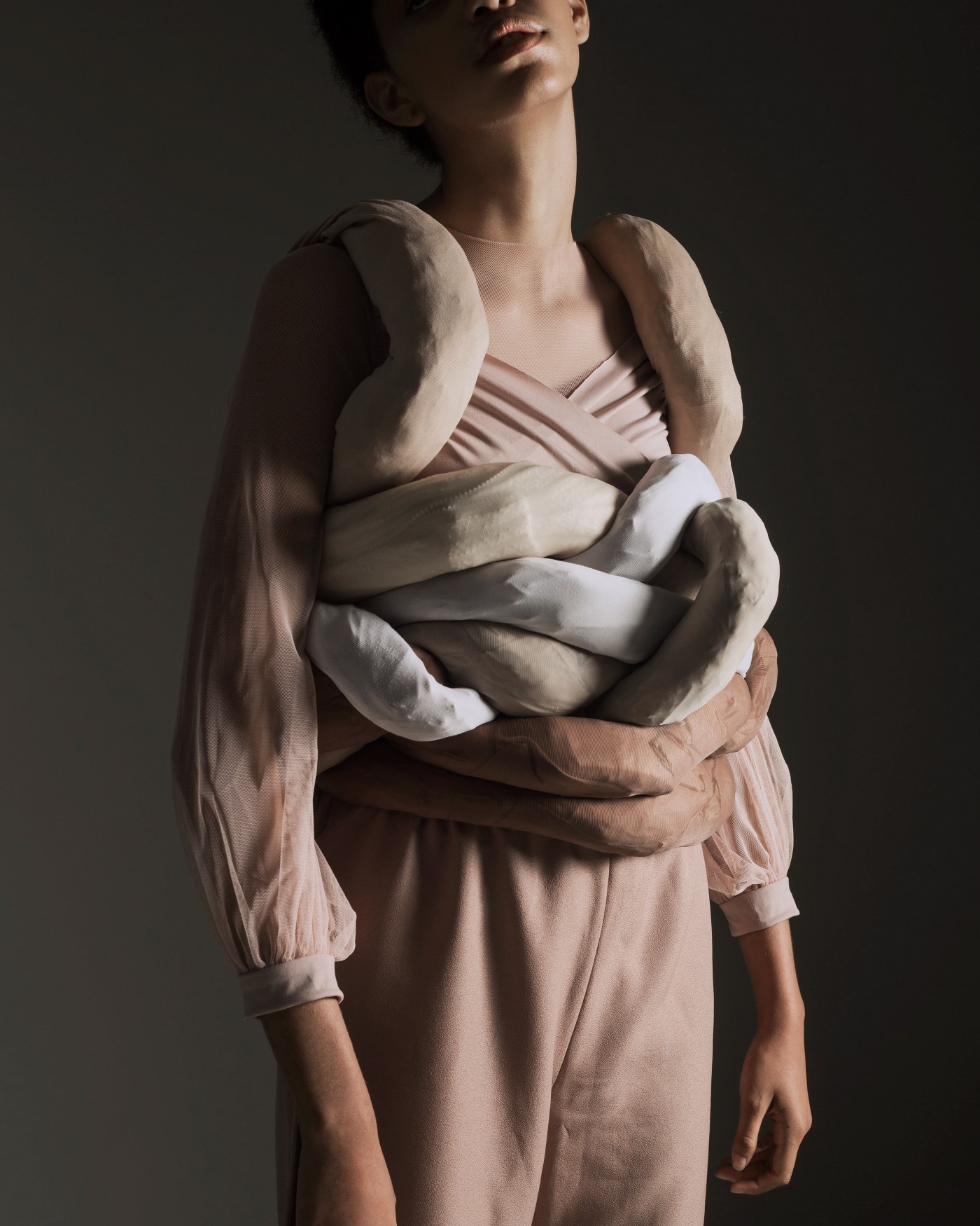 Evolution-探索捕捉认知过程开始的美学图片