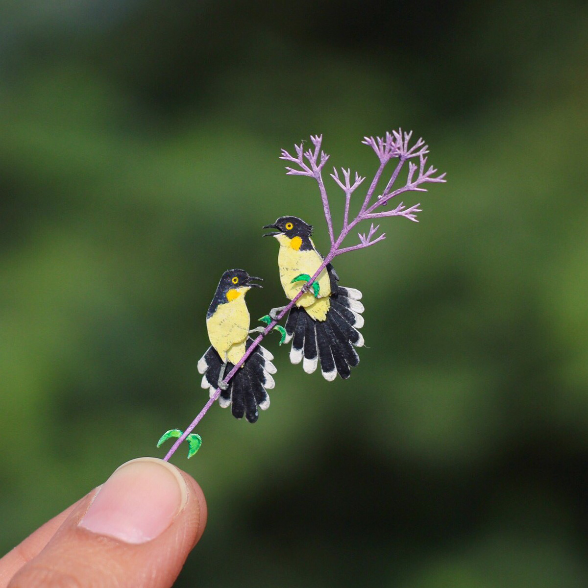 365天的微型剪纸鸟类艺术---酷图编号24