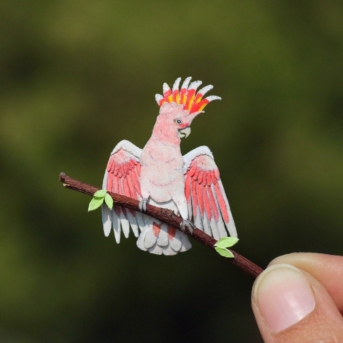 365天的微型剪纸鸟类艺术---酷图编号15