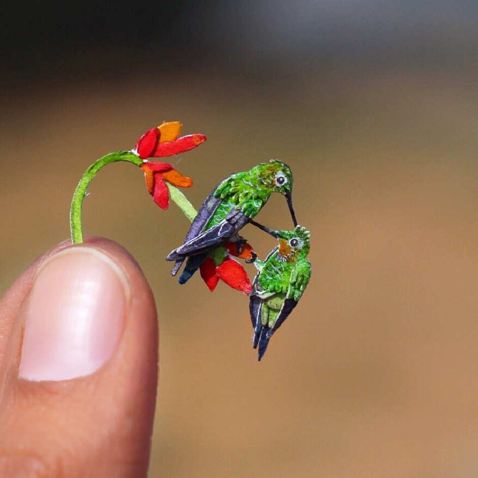 365天的微型剪纸鸟类艺术---酷图编号13