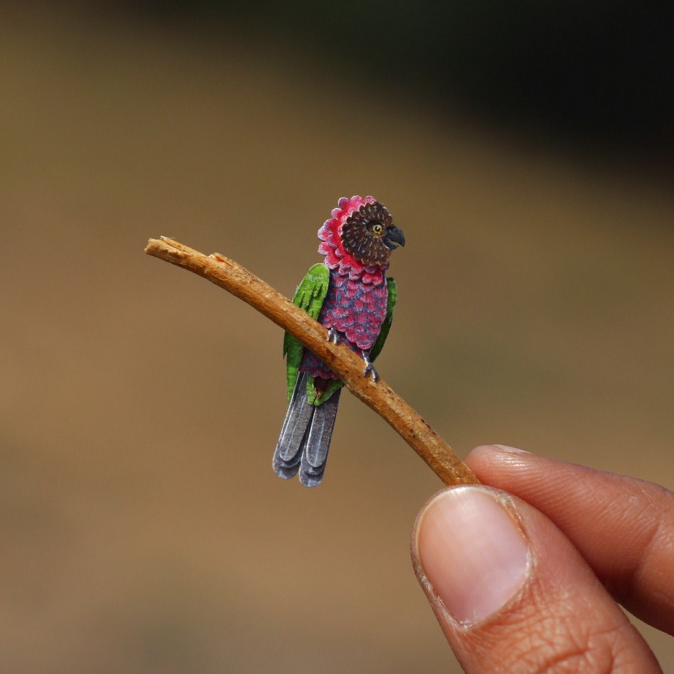 365天的微型剪纸鸟类艺术---酷图编号5