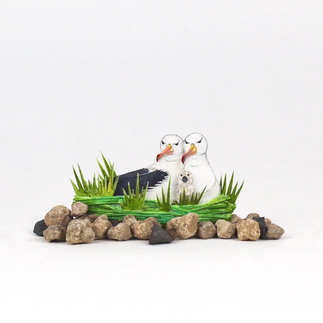 365天的微型剪纸鸟类艺术---酷图编号2