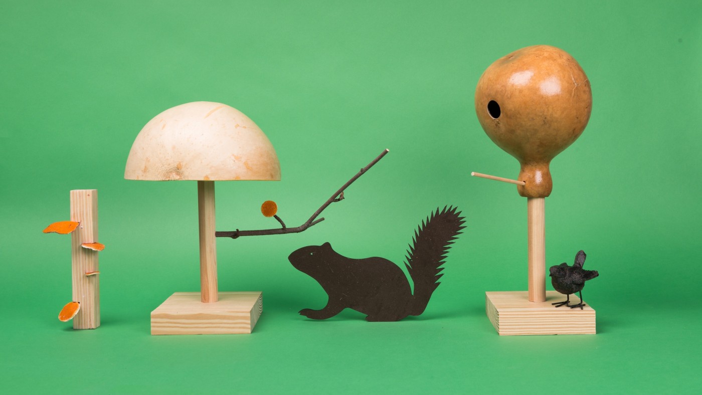 记录城市野生动物的雕塑“静物”封面大图