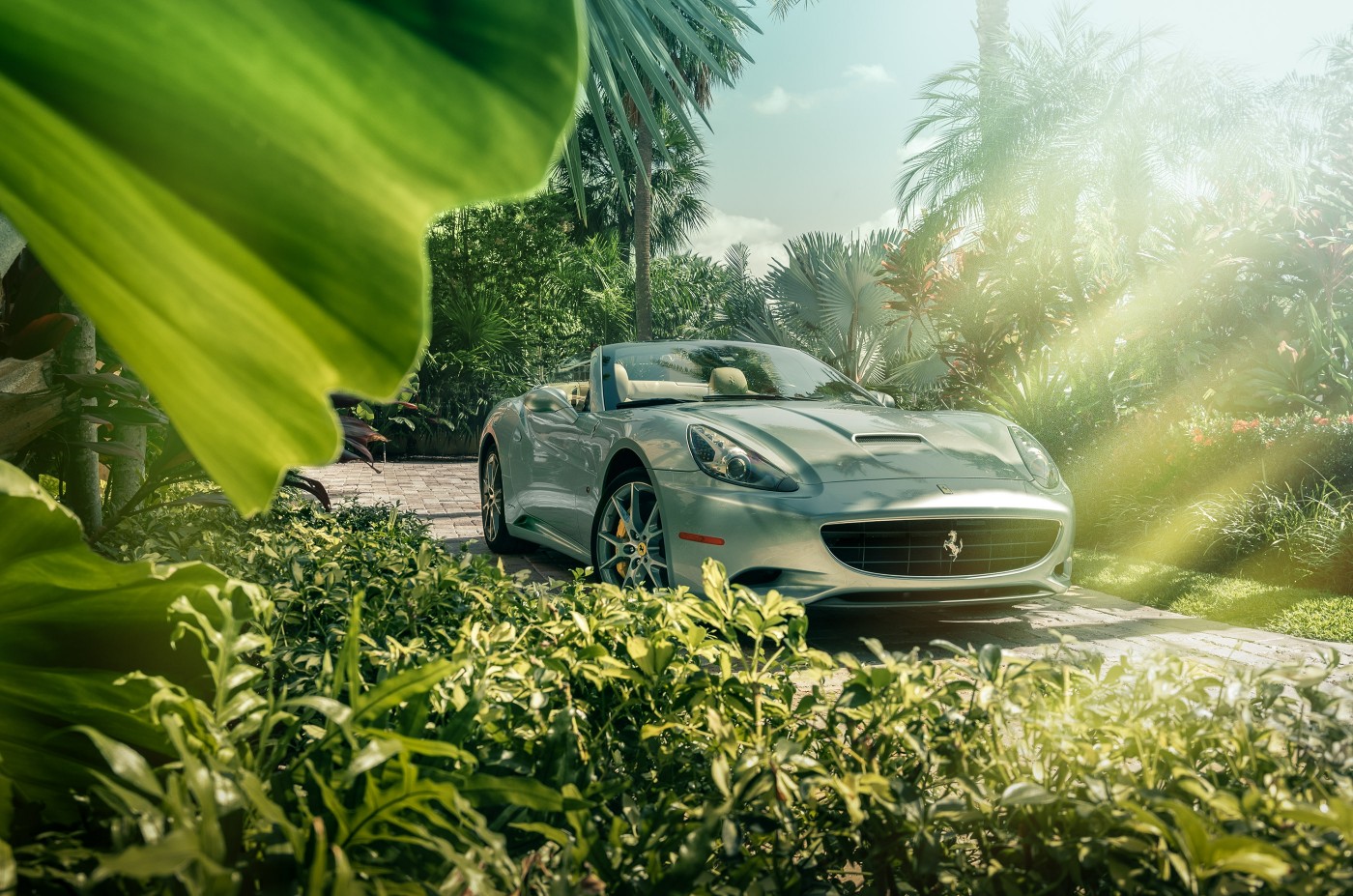 使用自然光拍摄的法拉利图片