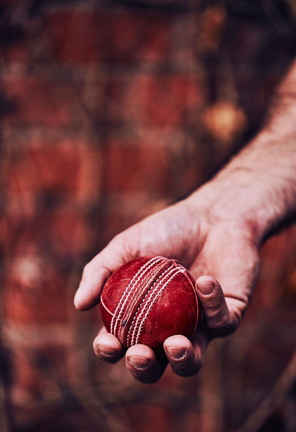 格雷斯山餐厅---酷图编号21