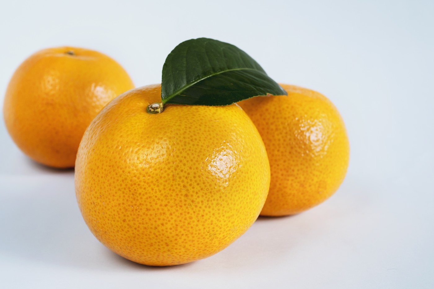 熟透的桔子