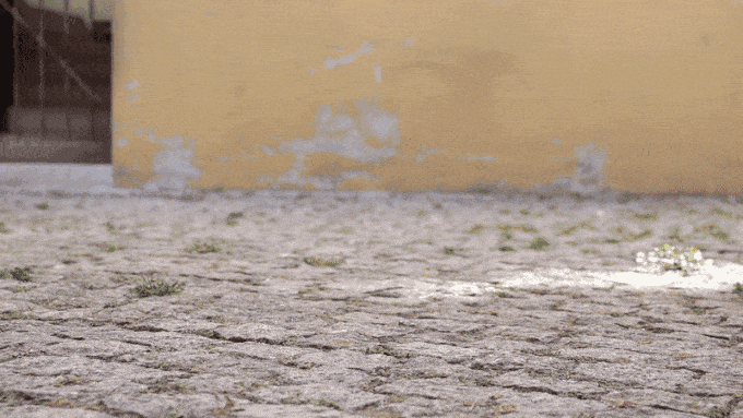 WAES的无塑料运动鞋---酷图编号1296079