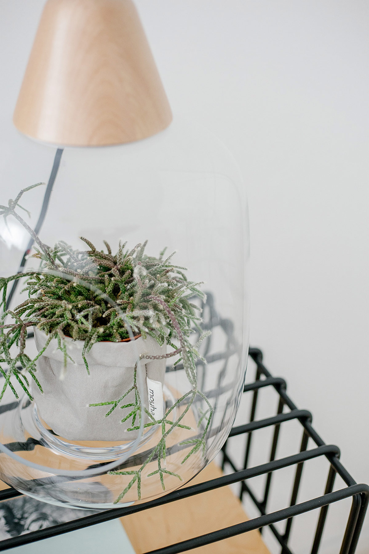 带有世纪中期现代主义风格的明亮公寓---酷图编号32