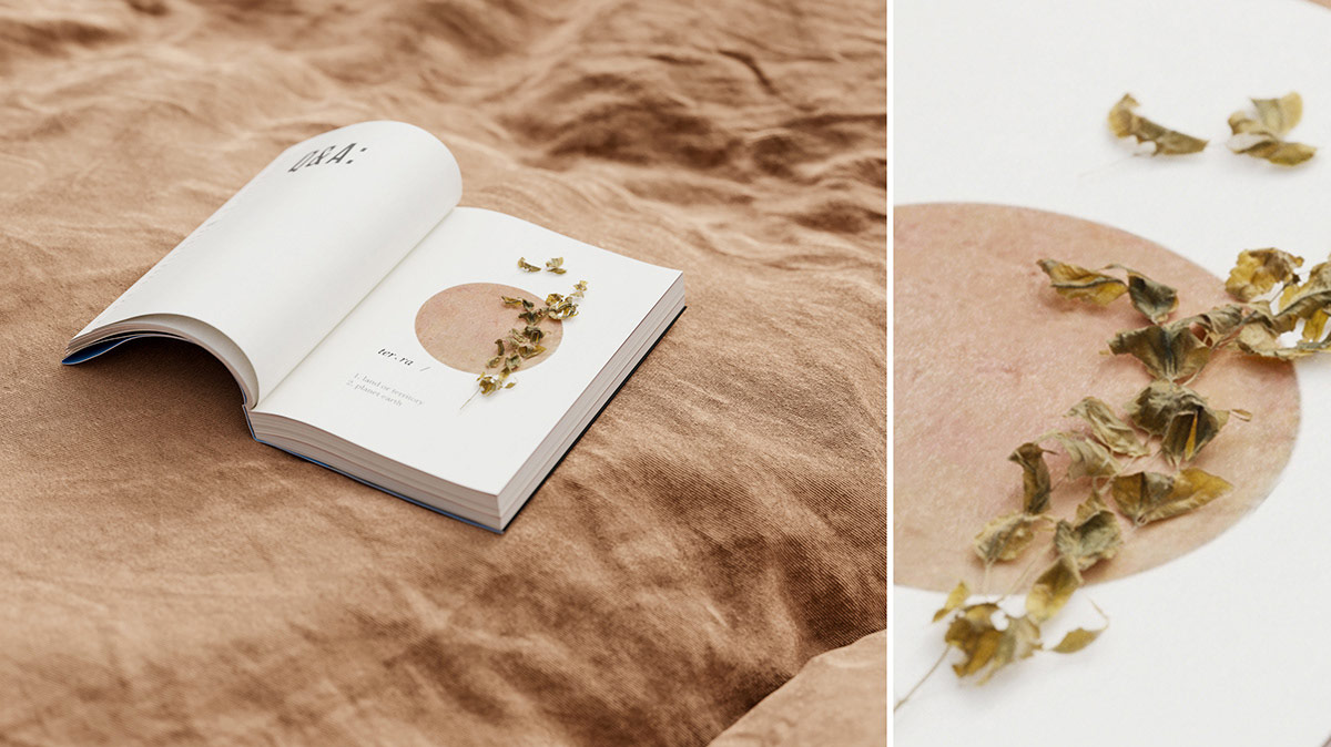 精致的白色简约内饰公寓室内设计---酷图编号1303755