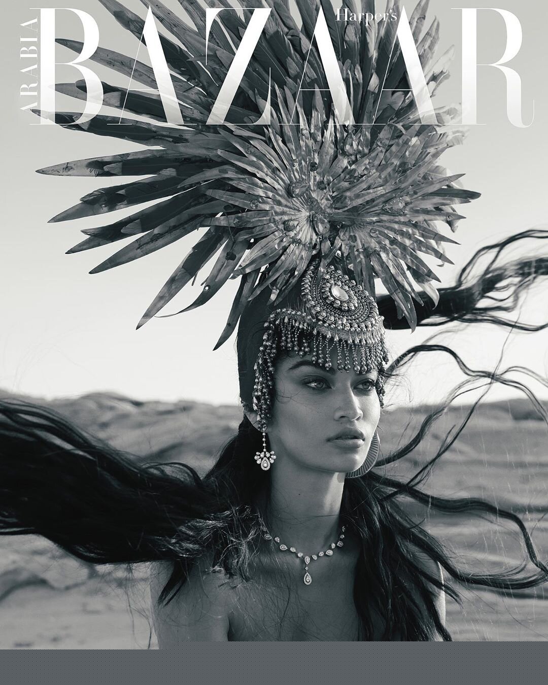 莎妮娜·谢克-哈珀集市阿拉伯---酷图编号8