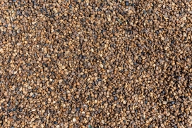 平铺的咖啡豆写真