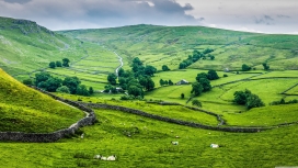 英国绿色山丘壁纸