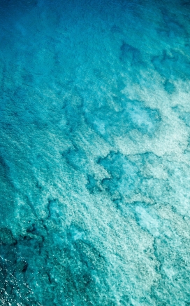 高清晰蓝色海域珊瑚群壁纸