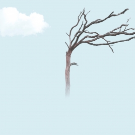 唯美的云中枯树干