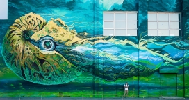 Mural Nautilus-墙体插画-鄂木斯克市街头艺术节