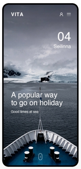 VITA网页界面设计