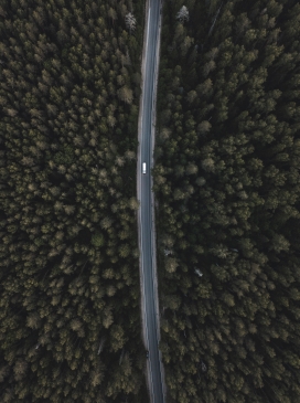 森林中的公路
