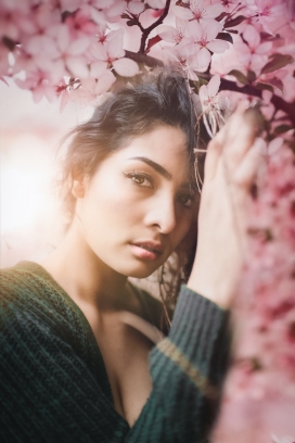 靠在粉红花树上的精致女子