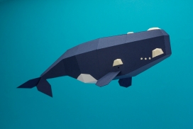 Colección cetácea-手工剪纸鲸类