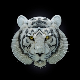 Endangered Species濒危物种-3D层次剪纸艺术
