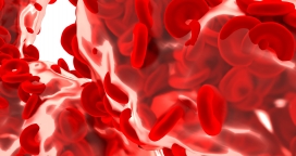 鲜红血细胞