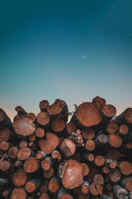 暮光下的木材堆