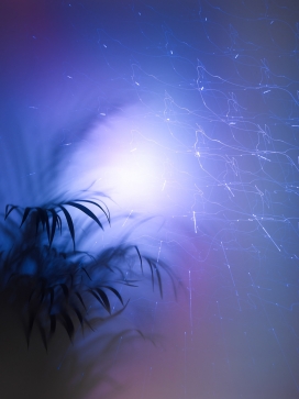 Synthetic Landscape-流动光束合成景观