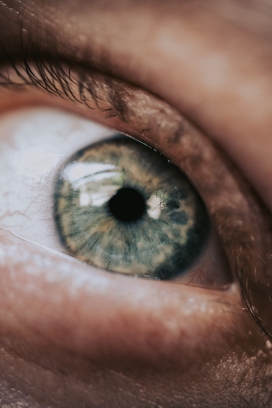 大眼珠特写