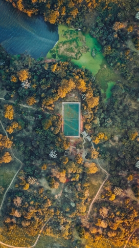 俯拍的森林游泳池